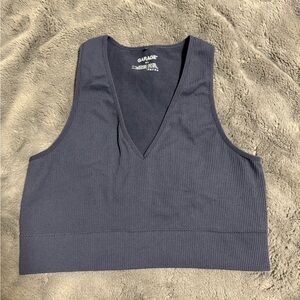 Garage Women's Blue V-Neck Crop Top